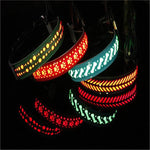 Glowing Paws Led Pet Collar-1