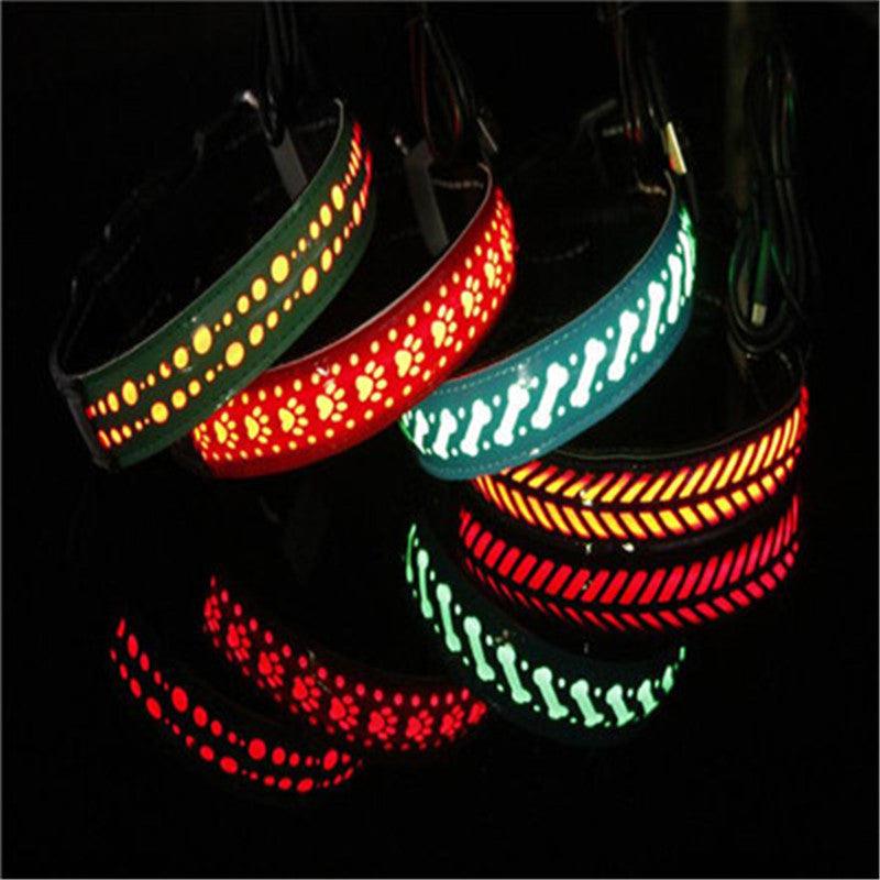 Glowing Paws Led Pet Collar-1