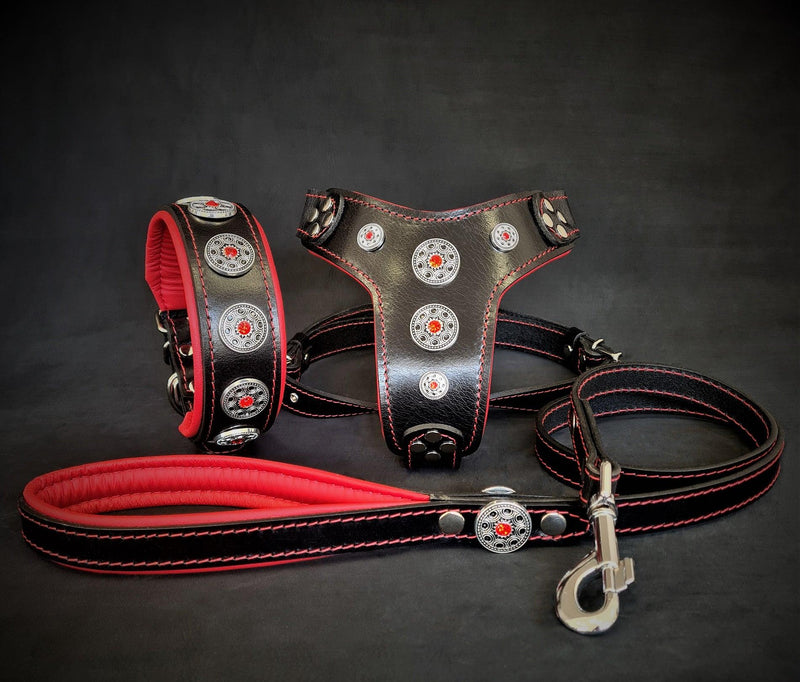 The ''Bijou'' SET -  Collar, Harness, Leash. Red