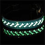 Glowing Paws Led Pet Collar-3