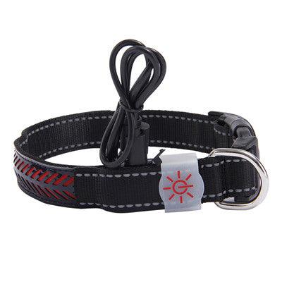 Glowing Paws Led Pet Collar-5