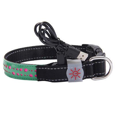 Glowing Paws Led Pet Collar-7