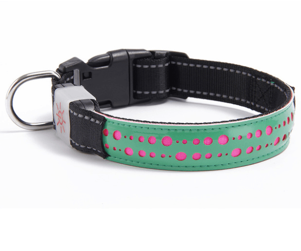 Glowing Paws Led Pet Collar-4