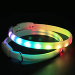 Glowing Guardian - Usb Rechargeable Led Pet Safety Collar-2