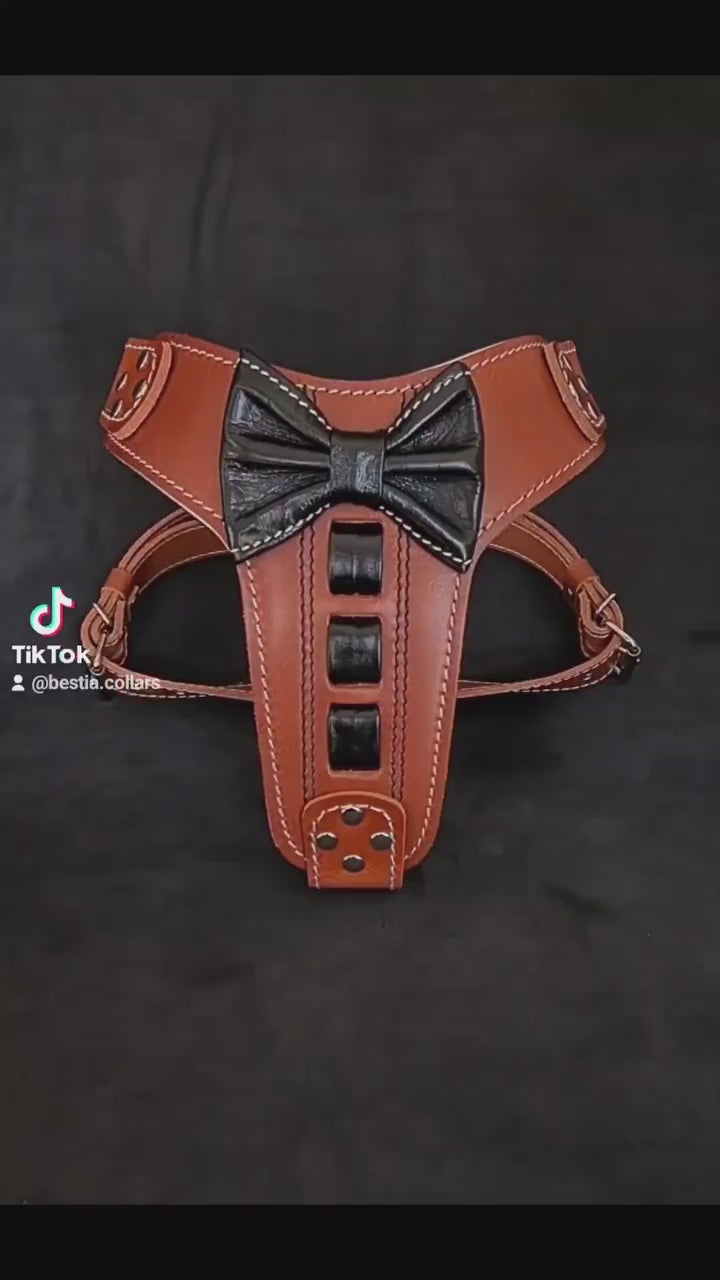 Bestia ''Bowtie'' leather harness