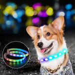 Glowing Guardian - Usb Rechargeable Led Pet Safety Collar-0